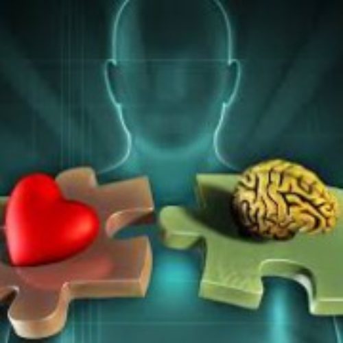 14-16 juliol. LA INTEL·LIGÈNCIA EMOCIONAL: DE LA TEORIA A LA PRÀCTICA