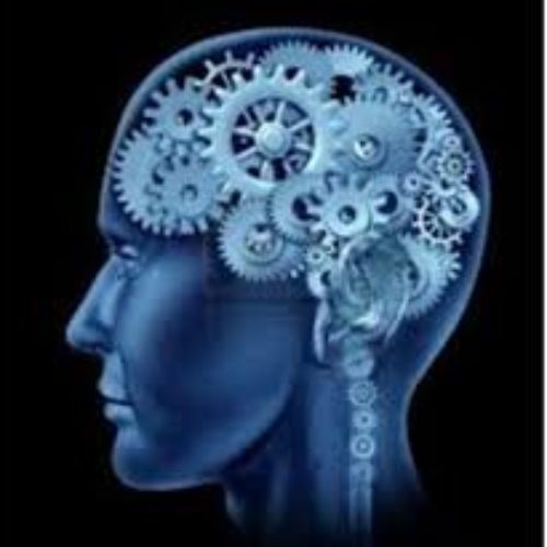 NEUROCIÈNCIA I NEUROPSICOLOGIA, EL SEU PASSAT I ESTAT ACTUAL