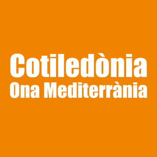 Nívola Uyá parla del curs Asterix UNED-Illes Balears Cotiledònia Espai de llibres