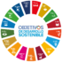 31 MARZO: Los Objetivos del Desarrollo Sostenible (ODS) y la Agenda 2030 aplicados al ámbito educativo universitario