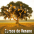 Cursos de Verano 2025