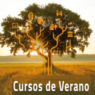 Presentación Cursos de Verano CA UNED Illes Balears 2025