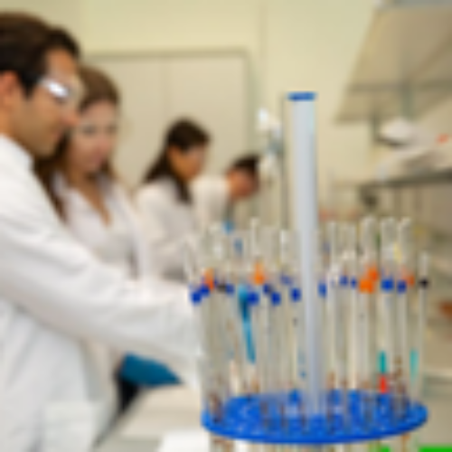 De la invisibilidad a la transformación: La UNED impulsa el cambio en ciencia y humanidades con perspectiva de género