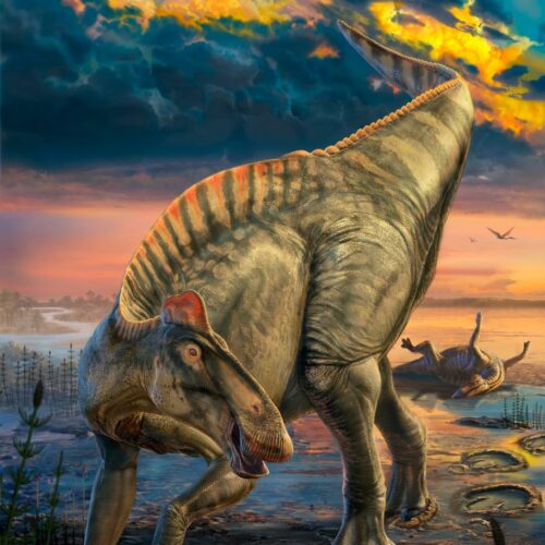 Científicos de la UNED revelan cómo se conservaron «momias» de dinosaurio con piel y pezuñas