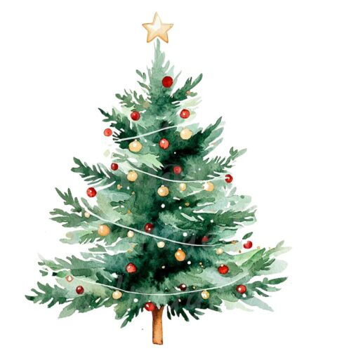 Vacaciones de navidad