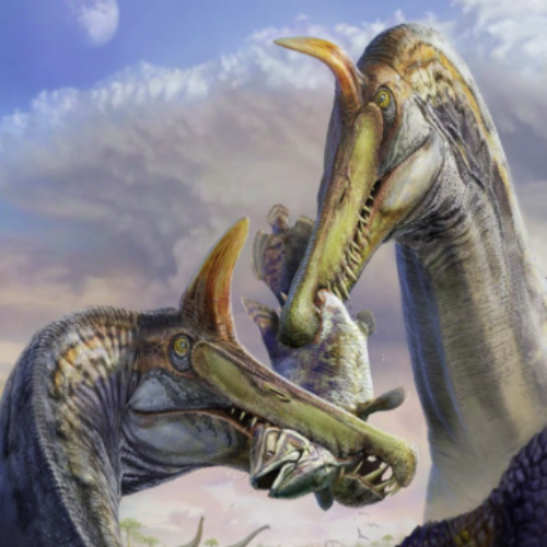 Descubierta una nueva especie de dinosaurio tras una investigación en la que ha participado la UNED