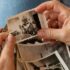 8-9 octubre: El arte de envejecer: una aproximación a las diferentes dimensiones  del envejecimiento (Online)